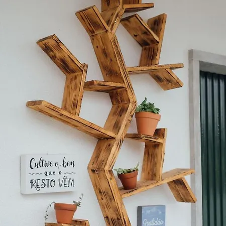 Hébergement de vacances Casa Ti Carolina *