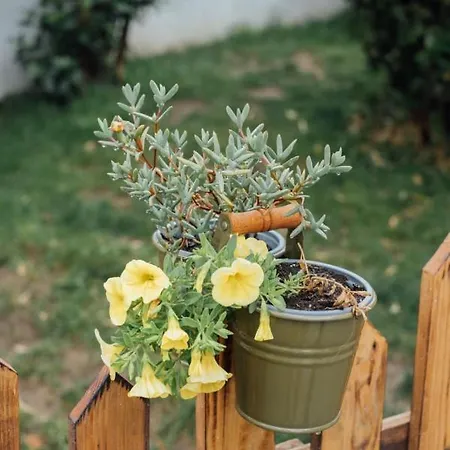 Casa Ti Carolina Hébergement de vacances